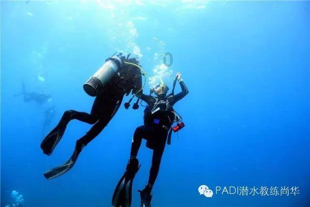 途虎养车与DRiV德雷威强强联合 Champion冠军全系列