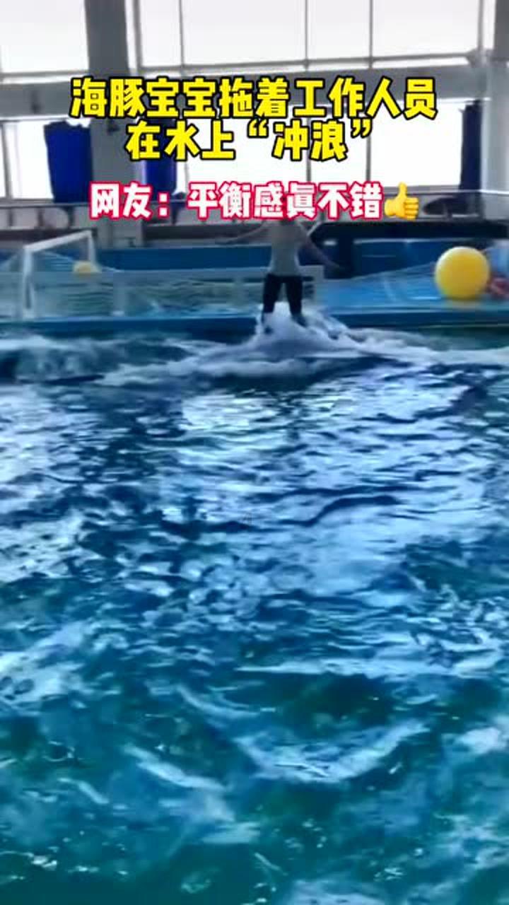 逃出蜜蜂岛