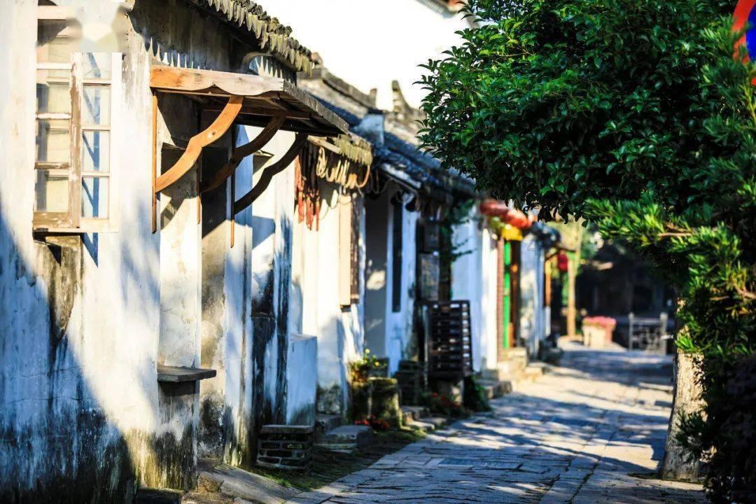 盐城四人赌博被拘…