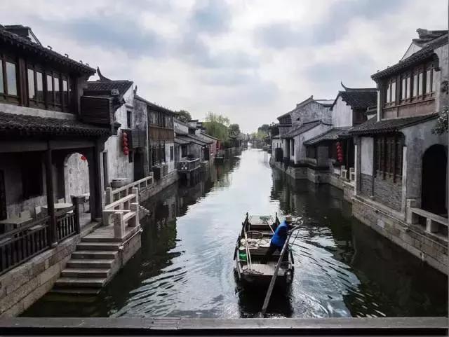 拯救毛茸茸男人
